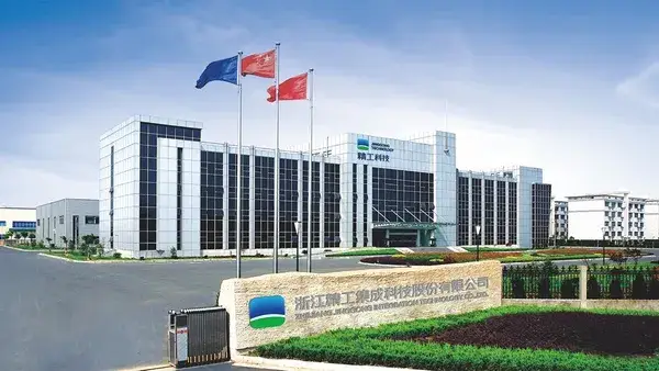 نبذة عن الشركة